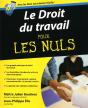 Le Droit Du Travail Pour Les Nuls - Preview