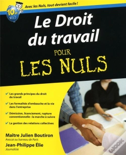 Capa do artigo Le Droit Du Travail Pour Les Nuls