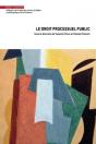 Le Droit Processuel Public - Preview