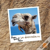 Le Dromadaire