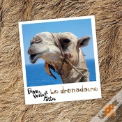 Capa do artigo Le Dromadaire
