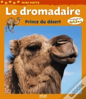 Capa do artigo Le Dromadaire, Prince Du Désert