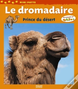 Capa do artigo Le Dromadaire, Prince Du Désert