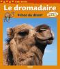 Le Dromadaire, Prince Du Désert - Preview