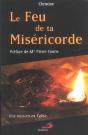 Le Feu De Ta Misericorde ; Une Mission En Eglise - Preview