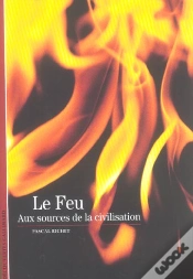 Capa do artigo Le Feu