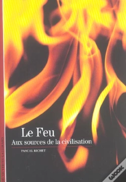 Capa do artigo Le Feu
