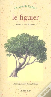 Le Figuier