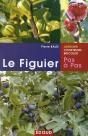Le Figuier - Preview