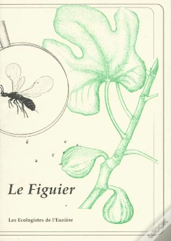 Capa do artigo Le Figuier