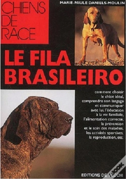 Capa do artigo Le Fila Brasilero