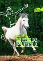 Le Fils De Flicka - Preview