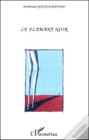 Capa do artigo Le Flamant Noir