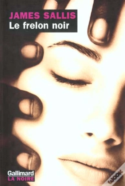 Capa do artigo Le Frelon Noir