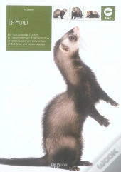 Le Furet