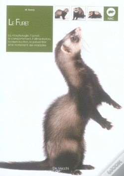 Capa do artigo Le Furet