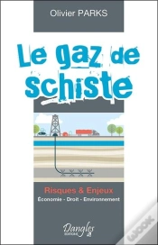 Capa do artigo Le Gaz De Schiste ; Risques & Enjeux