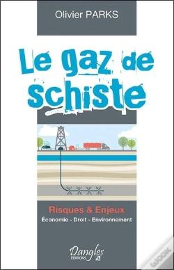 Capa do artigo Le Gaz De Schiste ; Risques & Enjeux