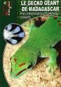Le Gecko Géant De Madagascar - Preview