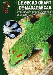 Capa do artigo Le Gecko Géant De Madagascar
