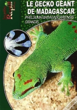 Capa do artigo Le Gecko Géant De Madagascar