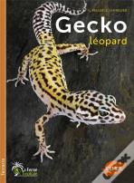 Le Gecko Leopard
