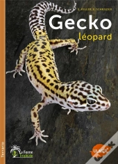 Le Gecko Leopard