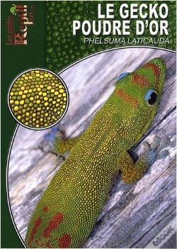 Capa do artigo Le Gecko Poudre D'Or - Phelsuma Laticauda