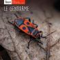 Le Gendarme - Preview