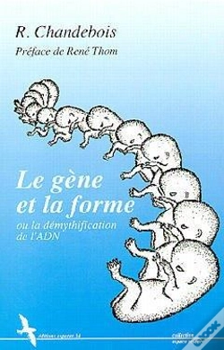 Capa do artigo Le Gene Et La Forme Ou La Demysthification De L Adn