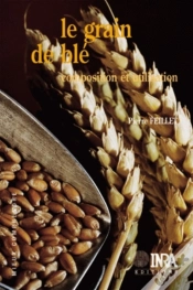 Capa do artigo Le Grain De Blé