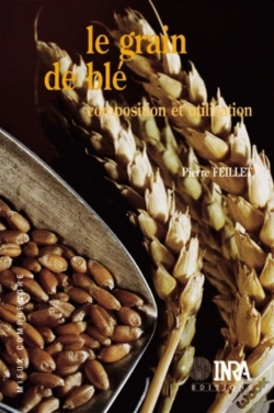Capa do artigo Le Grain De Blé