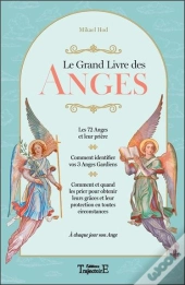 Le Grand Livre Des Anges ; À Chaque Jour Son Ange