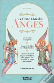 Capa do artigo Le Grand Livre Des Anges ; À Chaque Jour Son Ange