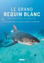Le Grand Requin Blanc ; Du Mythe À La Réalité - Preview