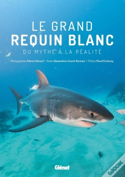 Capa do artigo Le Grand Requin Blanc ; Du Mythe À La Réalité
