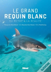 Le Grand Requin Blanc ; Du Mythe À La Réalité