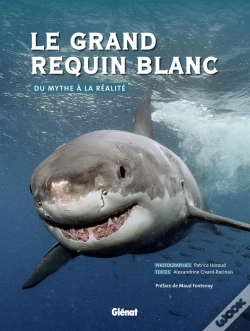 Capa do artigo Le Grand Requin Blanc