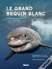 Capa do artigo Le Grand Requin Blanc
