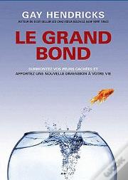 Le Grand Saut ; Surmontez Vos Peurs Cachées