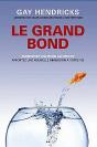 Le Grand Saut ; Surmontez Vos Peurs Cachées - Preview