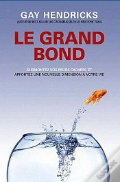 Capa do artigo Le Grand Saut ; Surmontez Vos Peurs Cachées