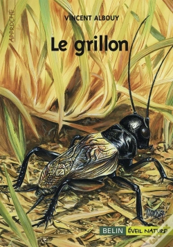 Capa do artigo Le Grillon