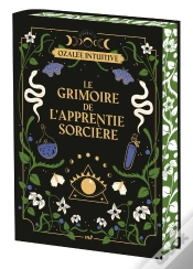 Capa do artigo Le Grimoire De L