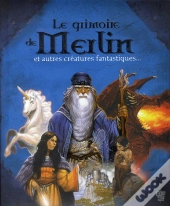Le Grimoire De Merlin