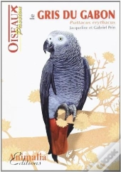 Le Gris Du Gabon - Psittacus Erythacus