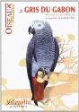Le Gris Du Gabon - Psittacus Erythacus - Preview