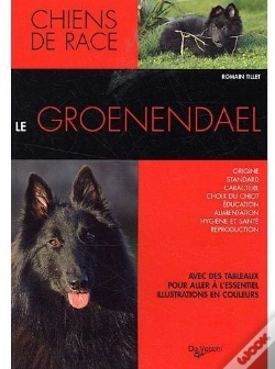 Capa do artigo Le Groenendael