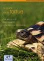 Le Guide De La Tortue - Preview
