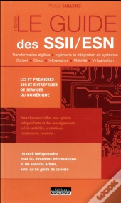 Le Guide Des Ssii/Esn ; Les 70 Premières Ssii Et Entreprises De Services Du Numérique (4e Édition)